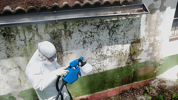 Trusted Commercial Mold Remediation service in Suffolk, VA - Cheap Mold Removal